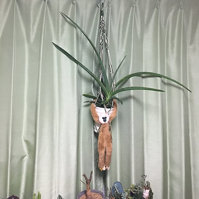 tetra163さんの実例写真
