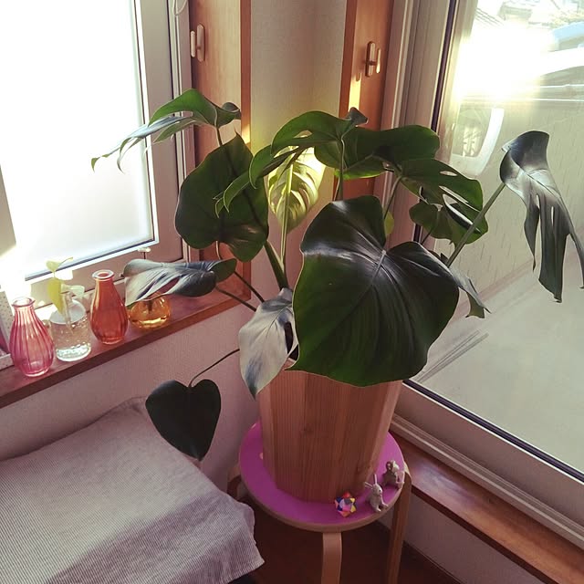 fraganciaさんの実例写真
