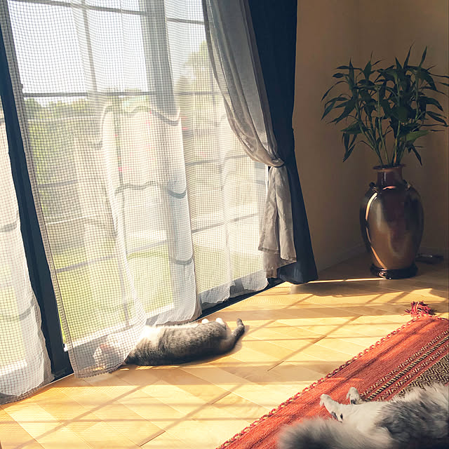 syungikuさんの実例写真