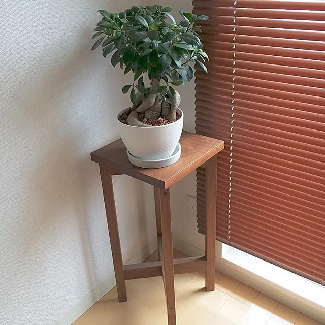 qu_miiiiiiiさんの実例写真
