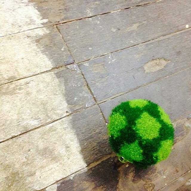GreenWorksさんの実例写真
