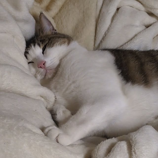 mori_6_12さんの部屋