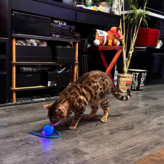 tututu0204さんの部屋