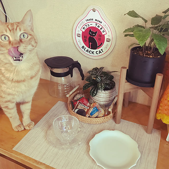 kou-kitiさんの部屋