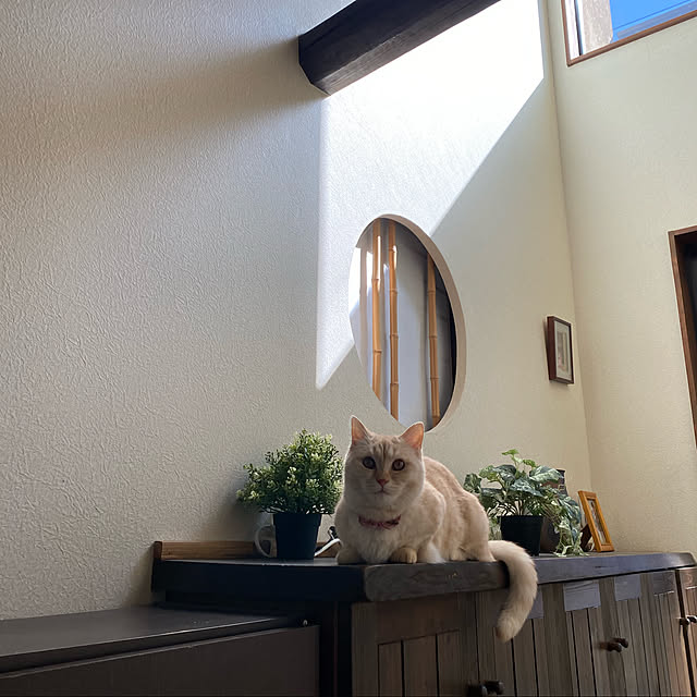 haruさんの実例写真