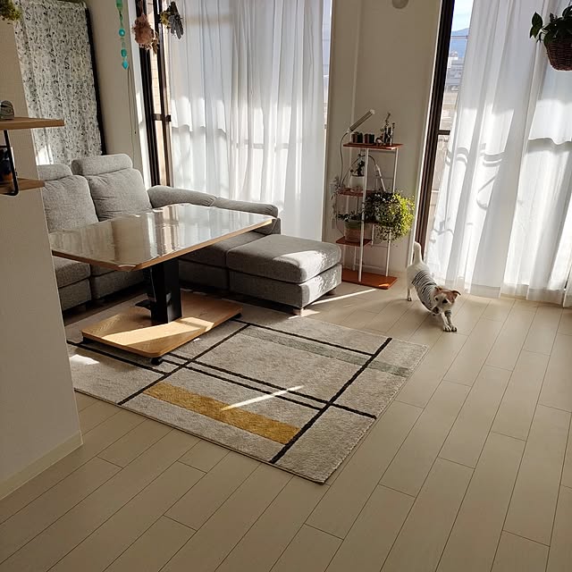 marosukeさんの部屋