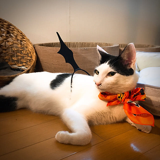 nobikoさんの実例写真