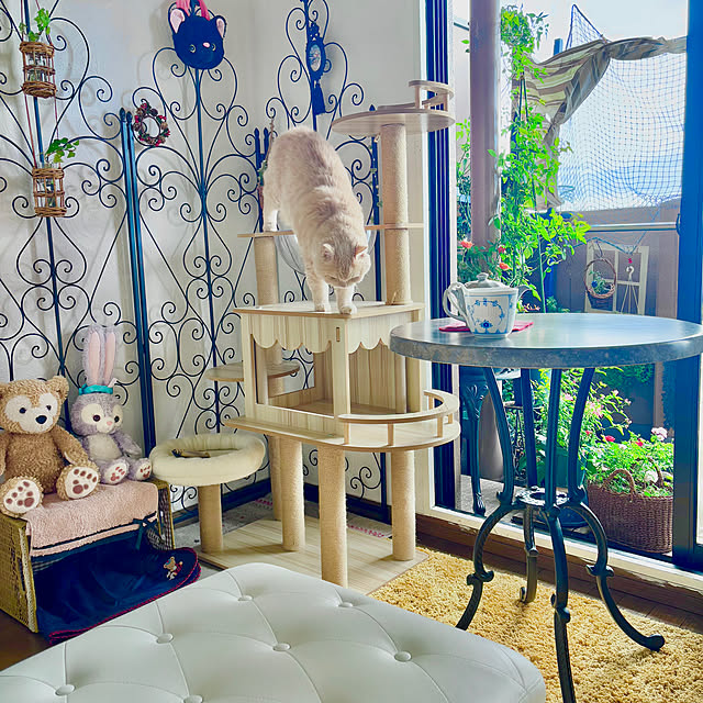 naokoさんの部屋