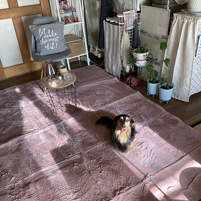Chikuwaさんの実例写真