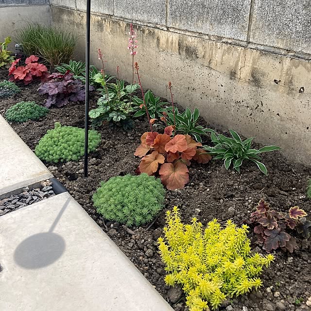 ayan-green.さんの部屋