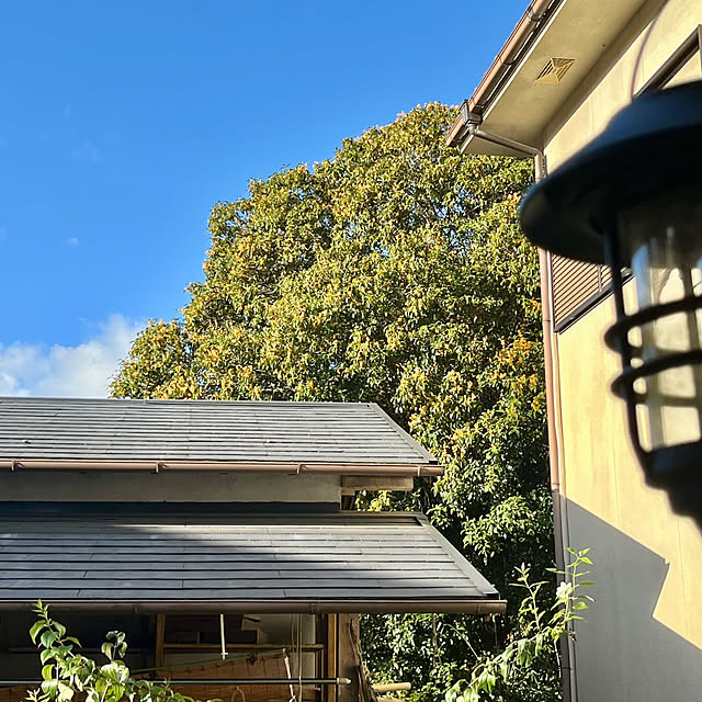 cotaさんの部屋