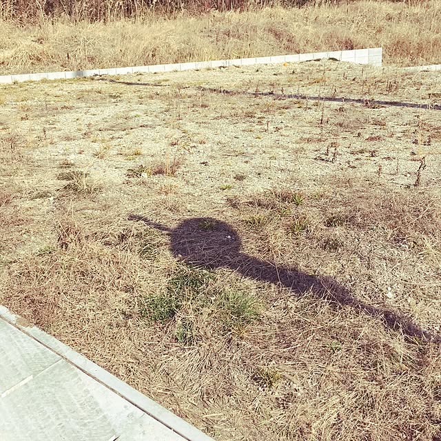 momoさんの実例写真