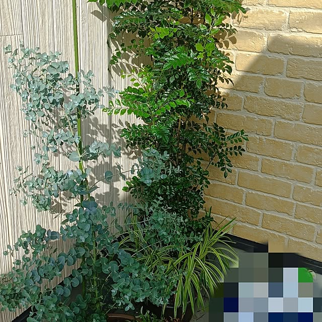 tさんの実例写真