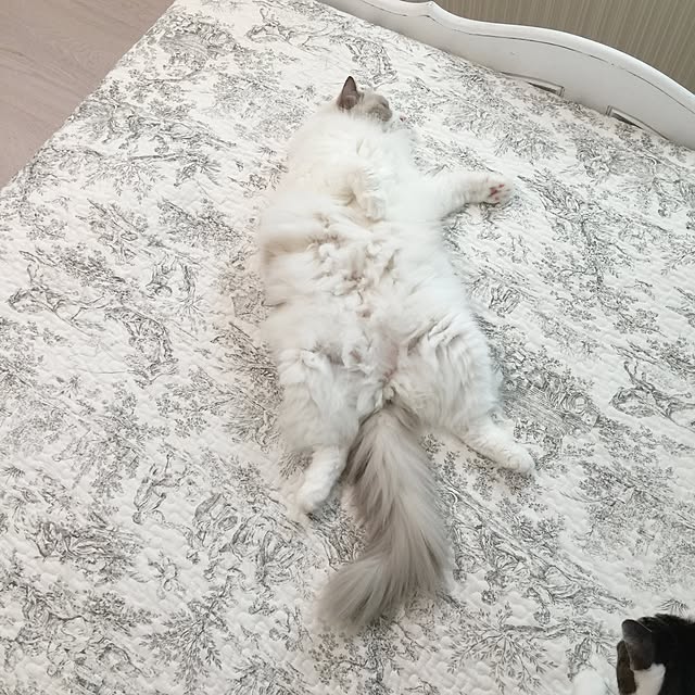 yuchiさんの実例写真