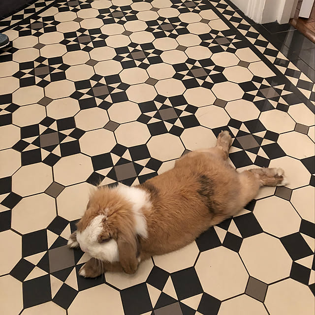 naokoomuraさんの実例写真