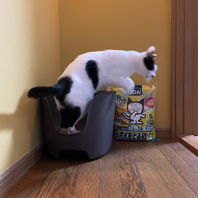 nobikoさんの部屋