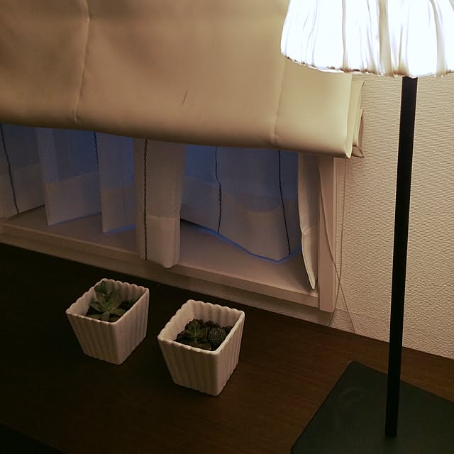 rururuさんの実例写真