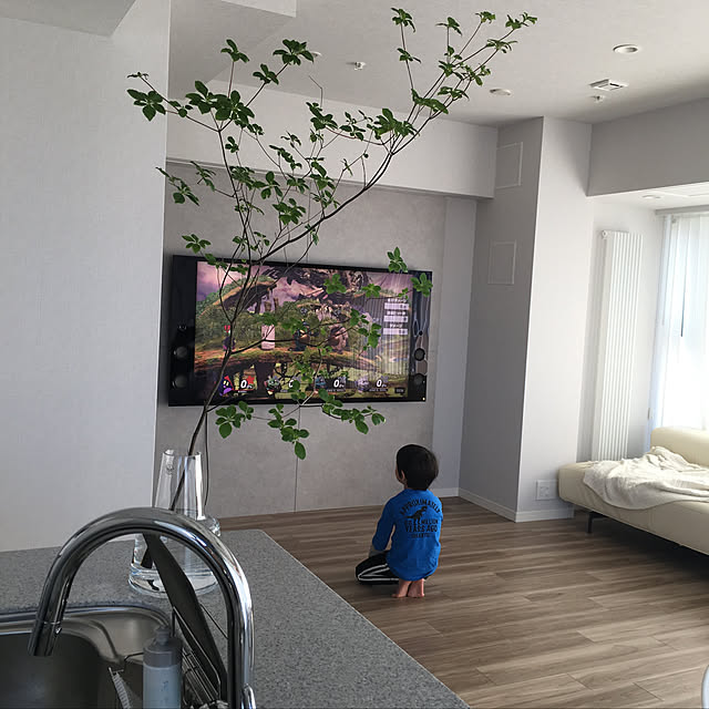 a-koさんの実例写真