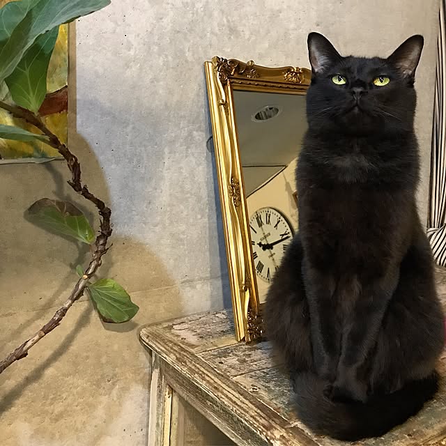 Naoki.さんの実例写真