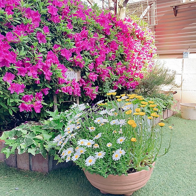 norikoko310さんの実例写真