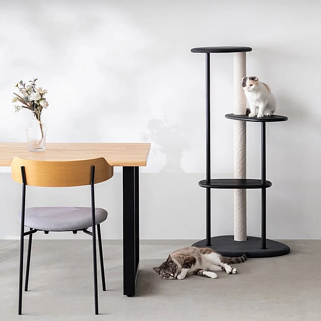 Kanademonoさんの実例写真