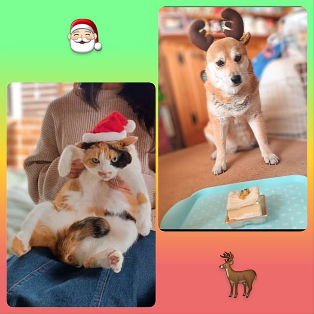 nanaさんの部屋