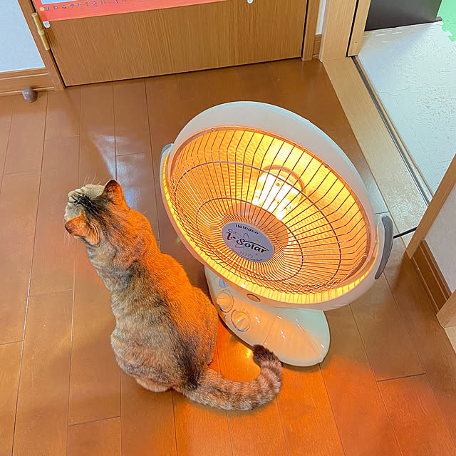 hansho.sさんの実例写真
