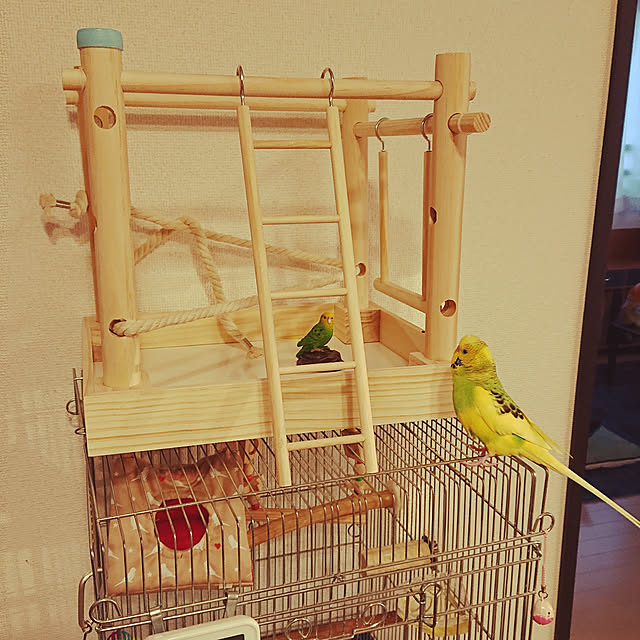 kyonさんの実例写真