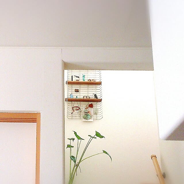 sugirokuさんの実例写真