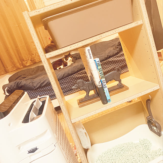 okekeさんの実例写真