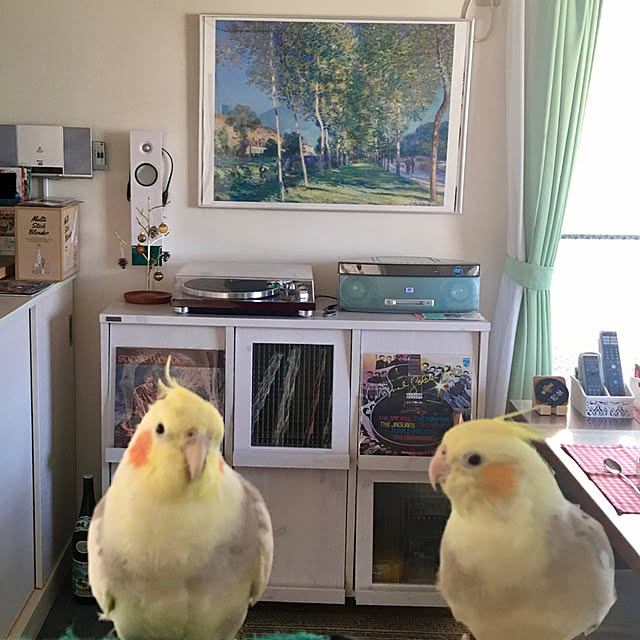 puriyuzuさんの実例写真