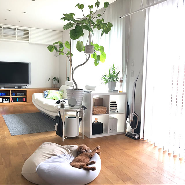 chororiさんの実例写真