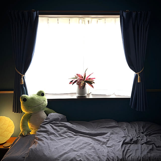 extremeJiaXuさんの実例写真