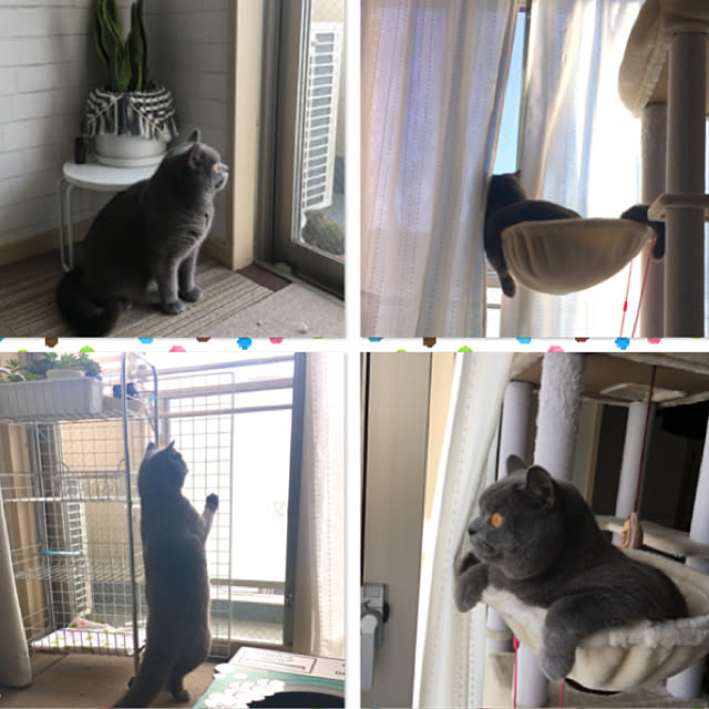 kittyさんの実例写真