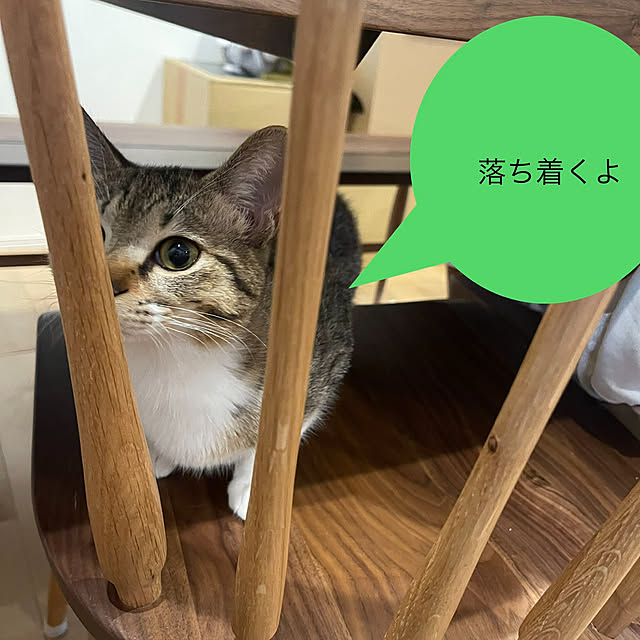 manekinekoさんの実例写真