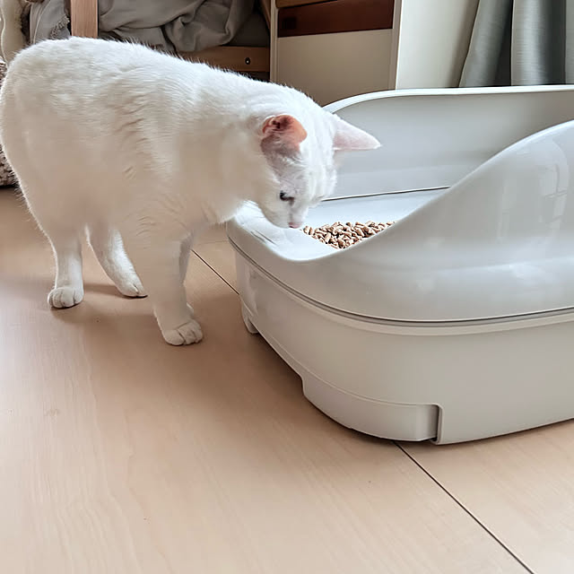 Miyu_さんの部屋