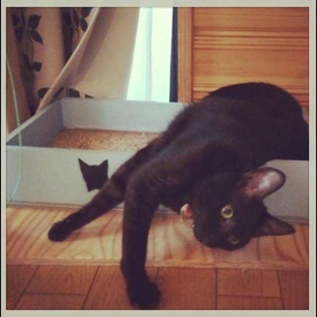 jerryさんの実例写真