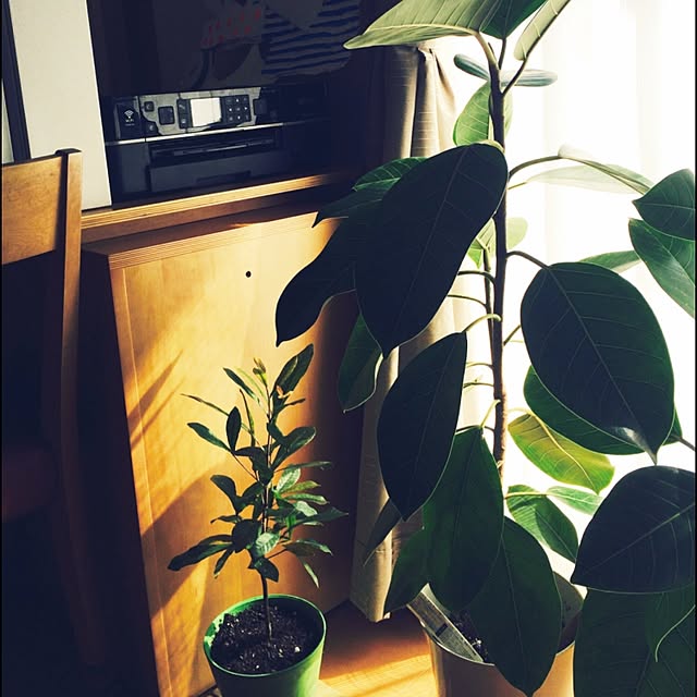 haruさんの実例写真