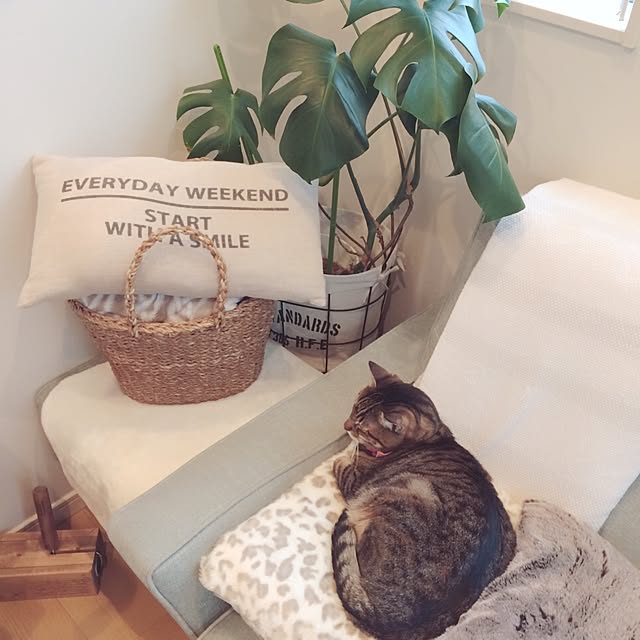 lovecatさんの実例写真