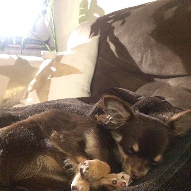 takaさんの実例写真