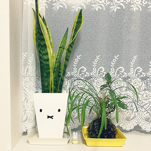 rabi3399さんの実例写真