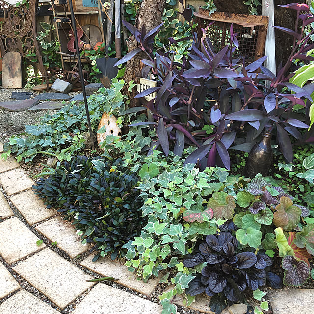 bibianさんの実例写真