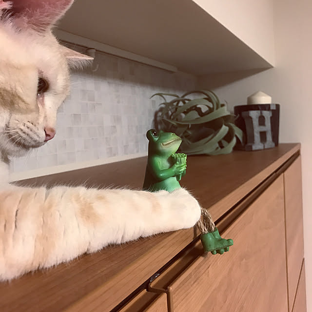 hiyupan88さんの実例写真
