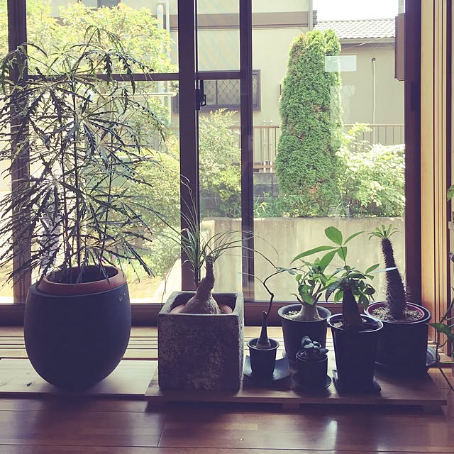 ccさんの実例写真