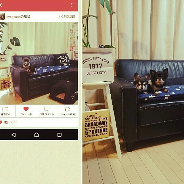 lovepeaceさんの実例写真
