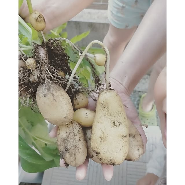 mokoさんの実例写真