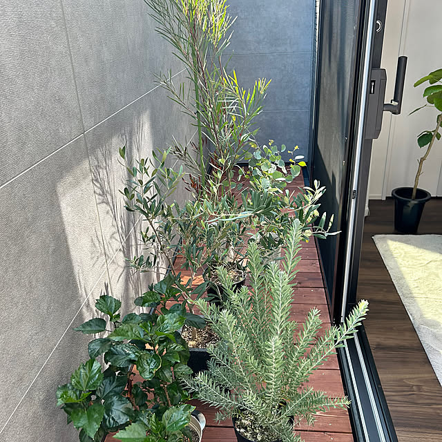akosanさんの部屋