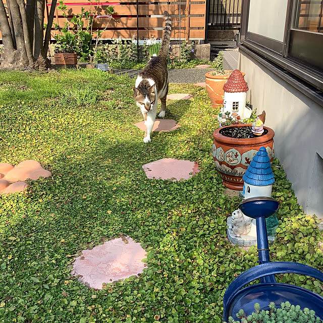 haruminさんの実例写真