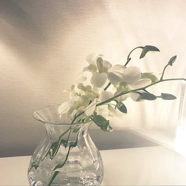 ayakoさんの実例写真
