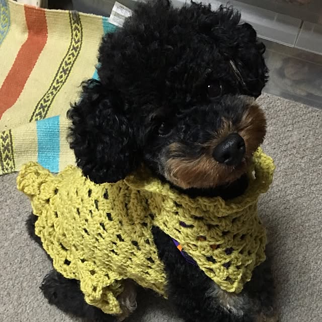 bussammamaさんの実例写真